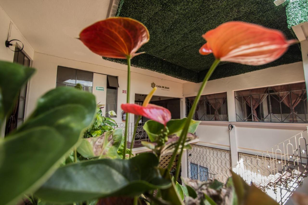 Casa De Juan Hostal คาลาปา ภายนอก รูปภาพ